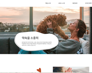 펫샵 애견분양